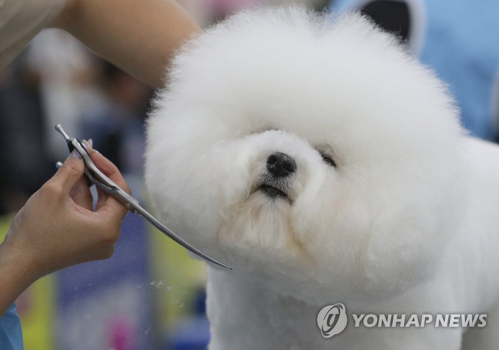 예뻐지는중 이미지