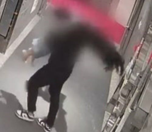 법무법인호암 이미지