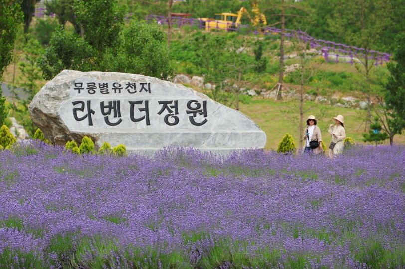 무릉별유천지 이미지