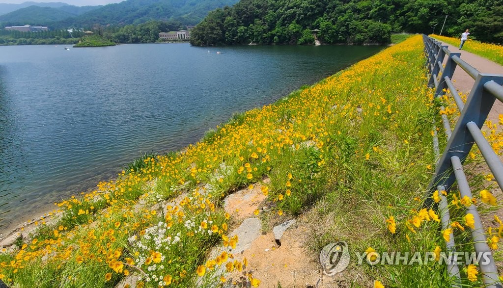 용수상회 이미지