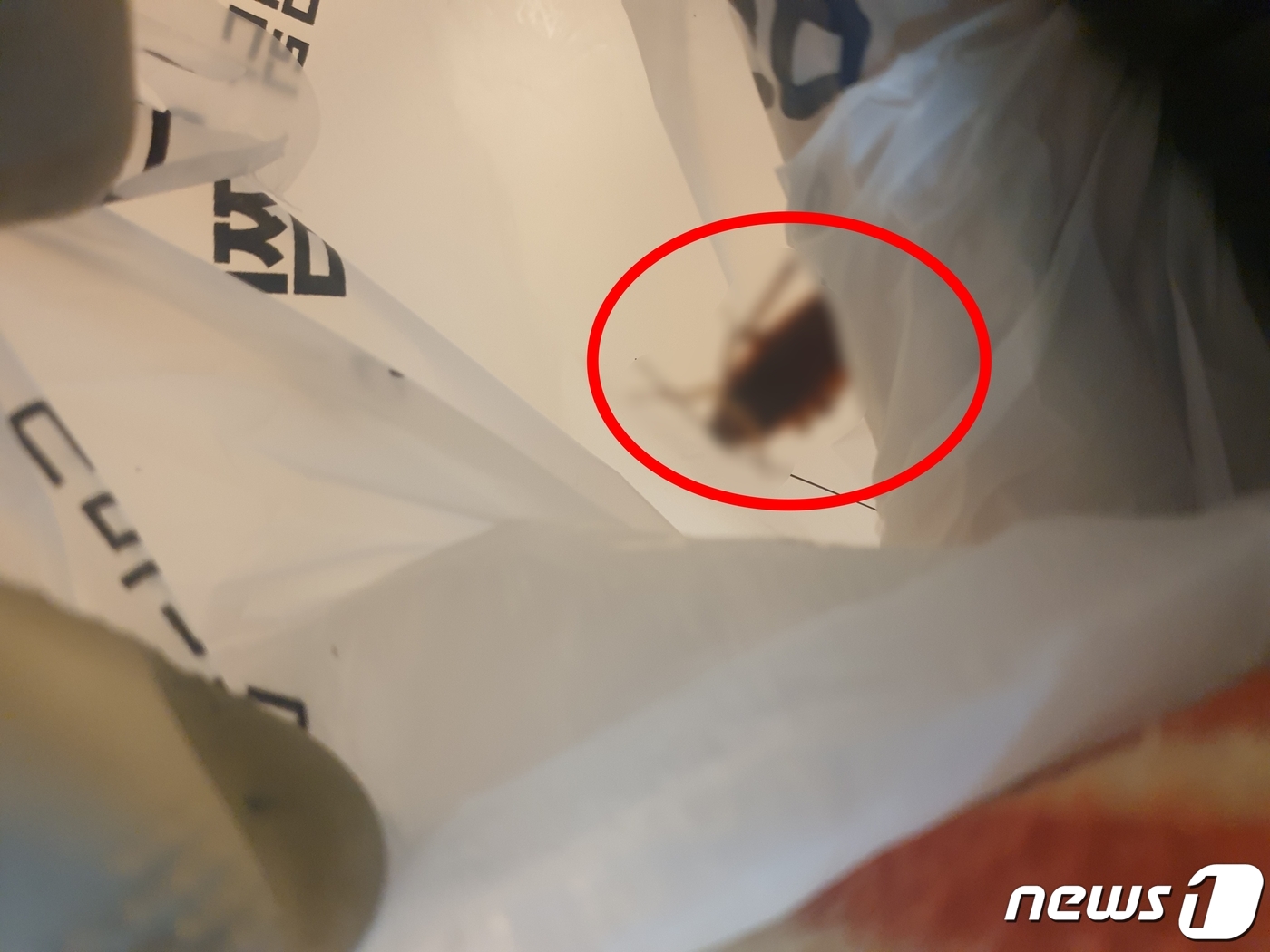 엄지찜닭 이미지
