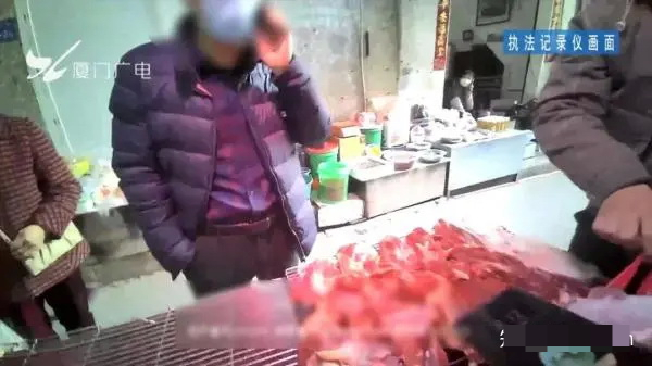돼지에서 소까지 이미지