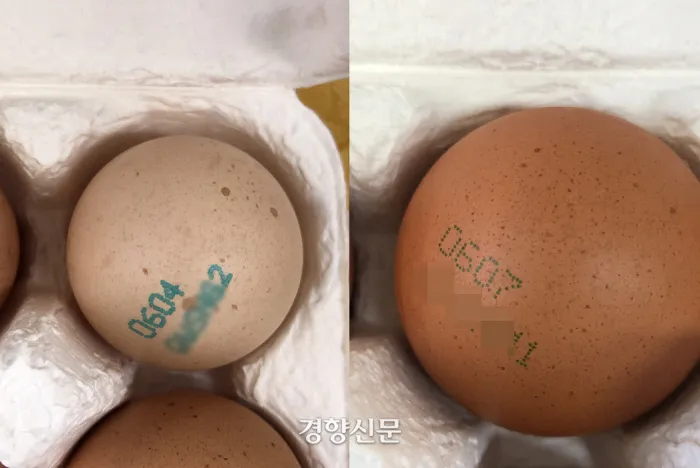 시민축산 이미지