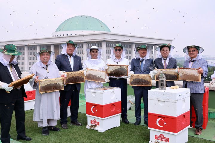안상규벌꿀 이미지