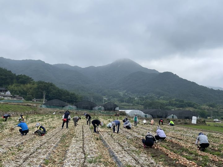 합천여자고등학교 이미지