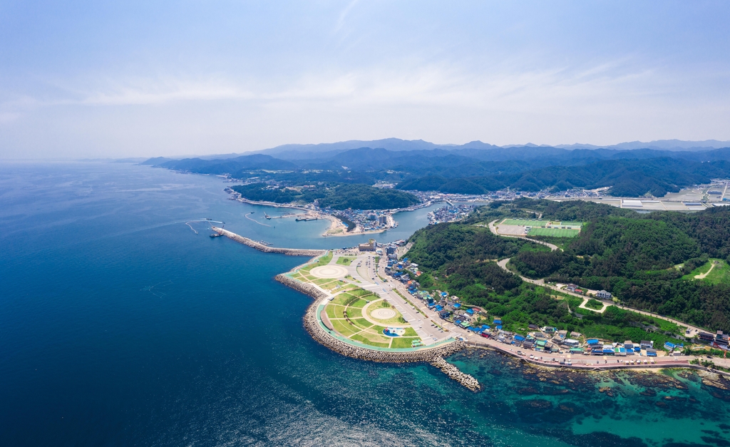 영덕카 이미지
