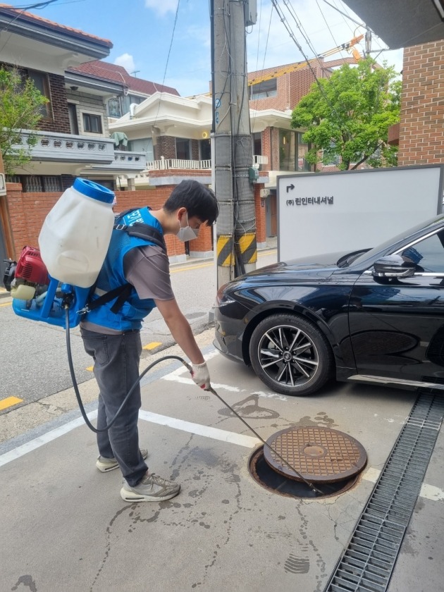 강남구제 이미지