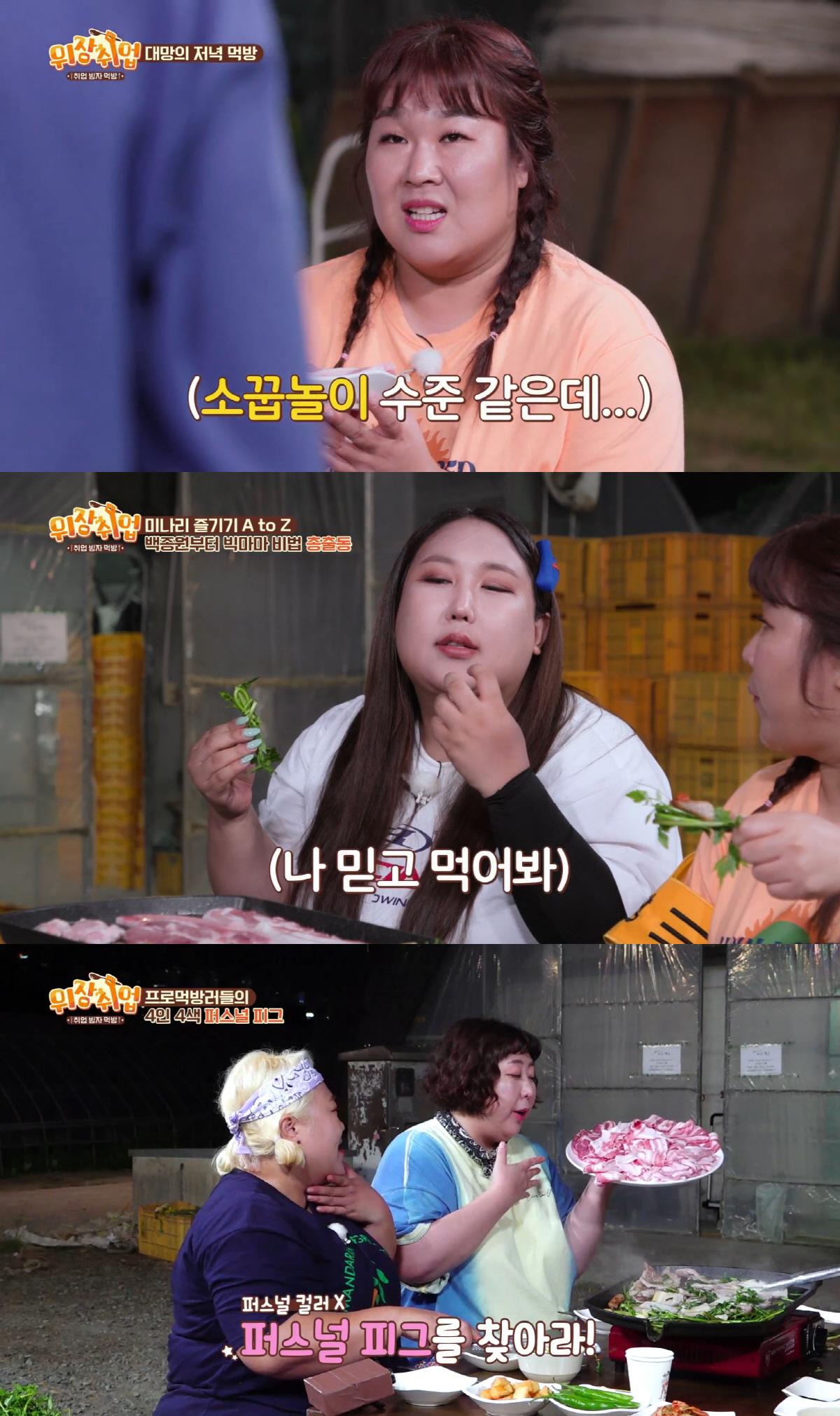 피그넷 이미지
