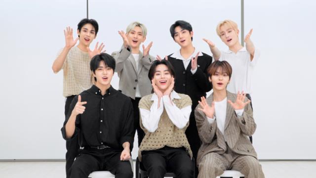 템페스트 이미지
