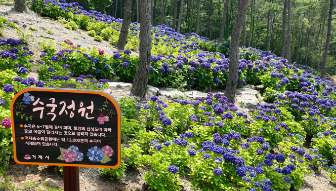 숲소리 이미지