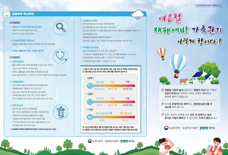 대한축산농가 이미지