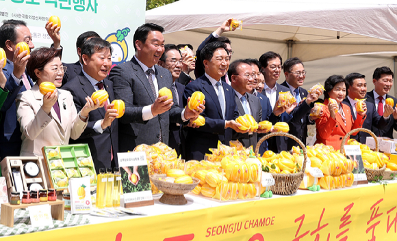 성주 이미지