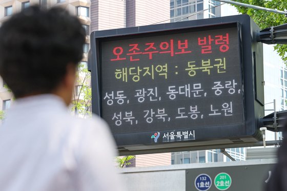 녹색주의보 이미지