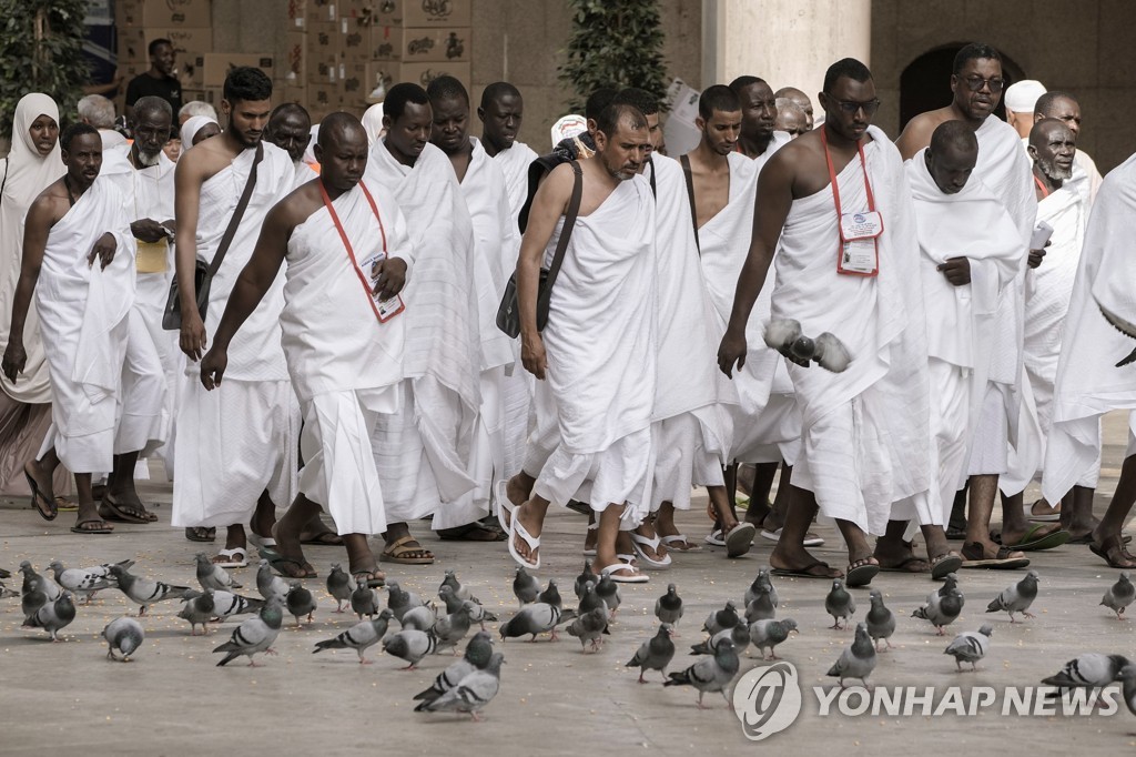 성지인력 이미지