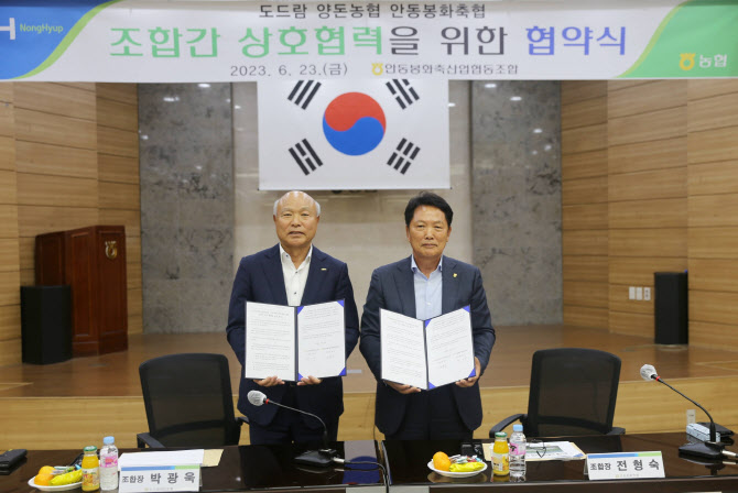 도드람 이미지