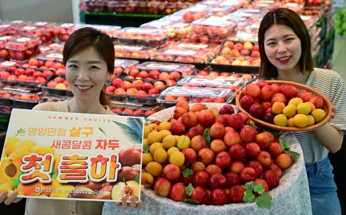 노화농협하나로마트 이미지
