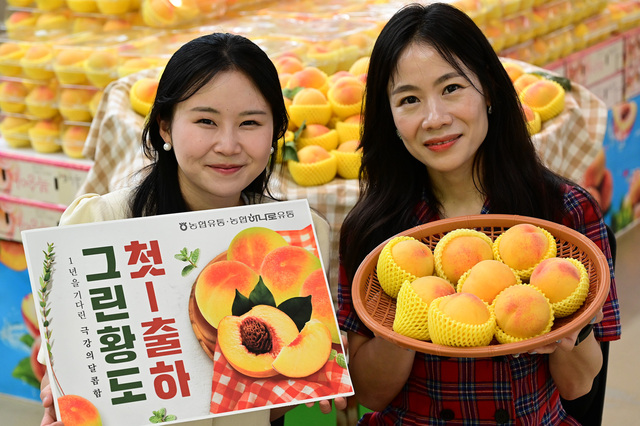 그린할인마트 이미지