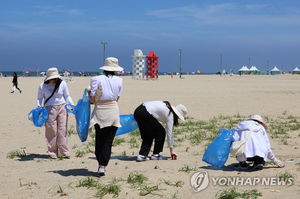 동해 이미지