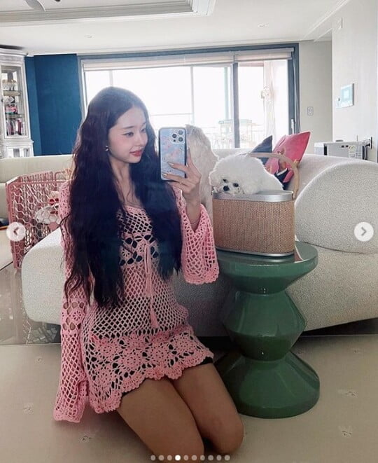프리지아 이미지