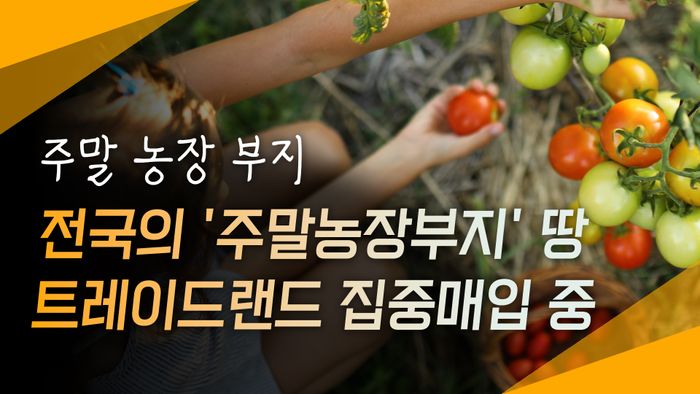 트레이드인 이미지