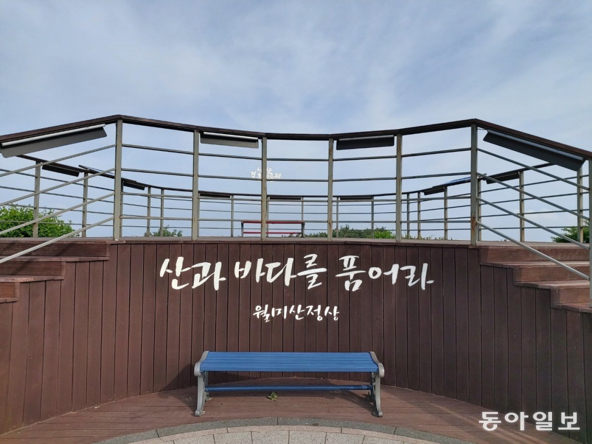 평화제분 이미지