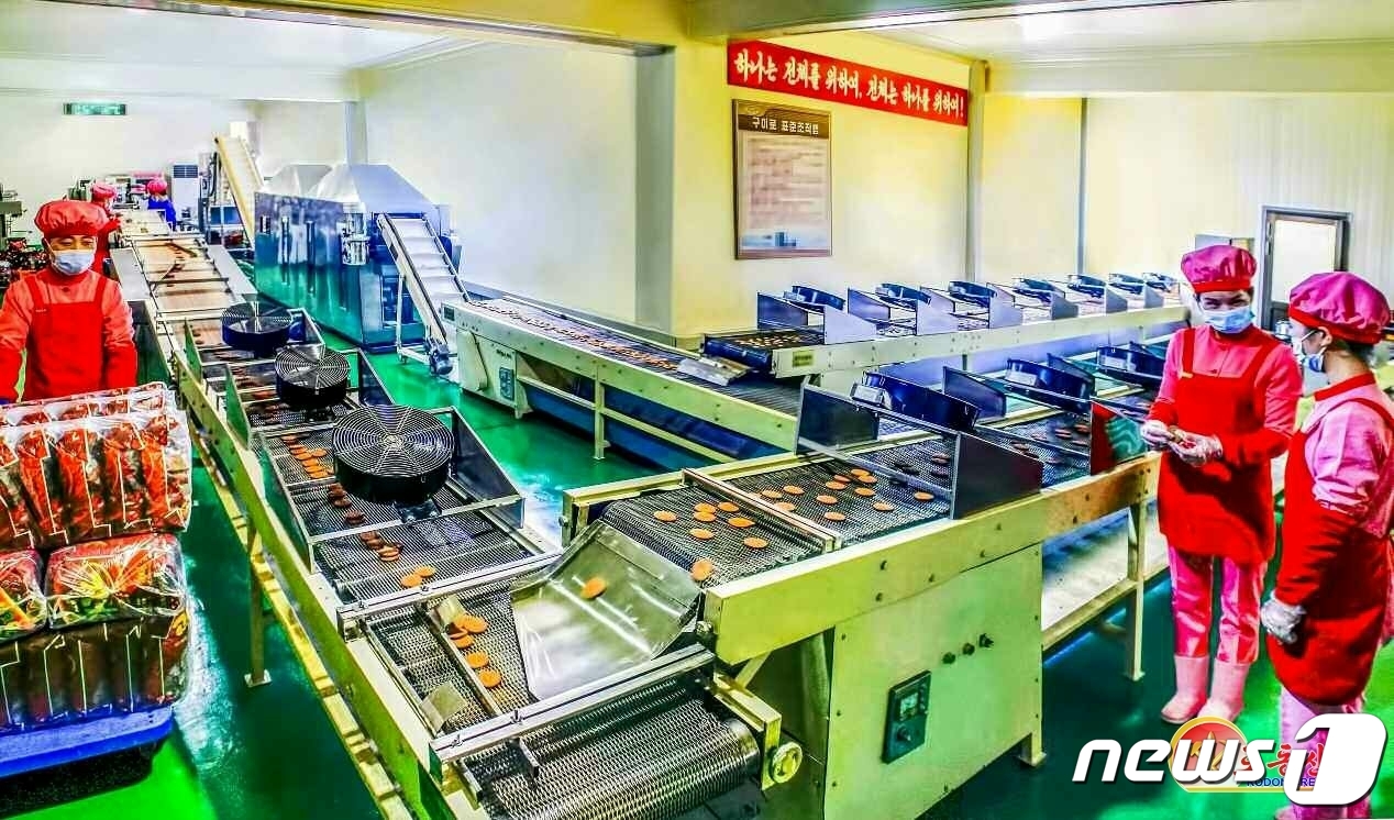 원종합 이미지
