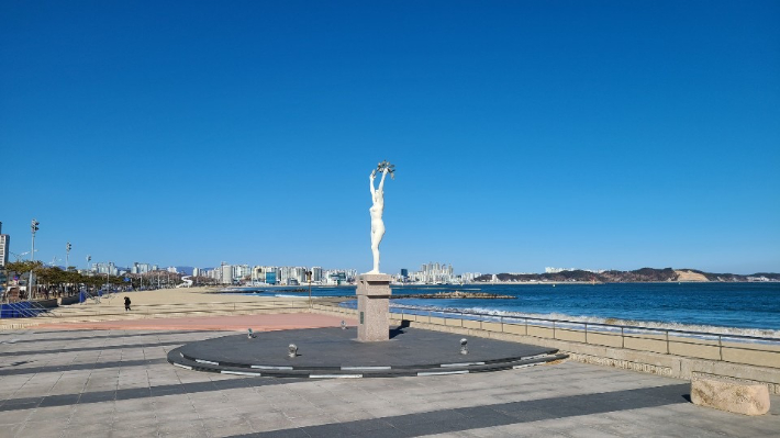 포항 이미지