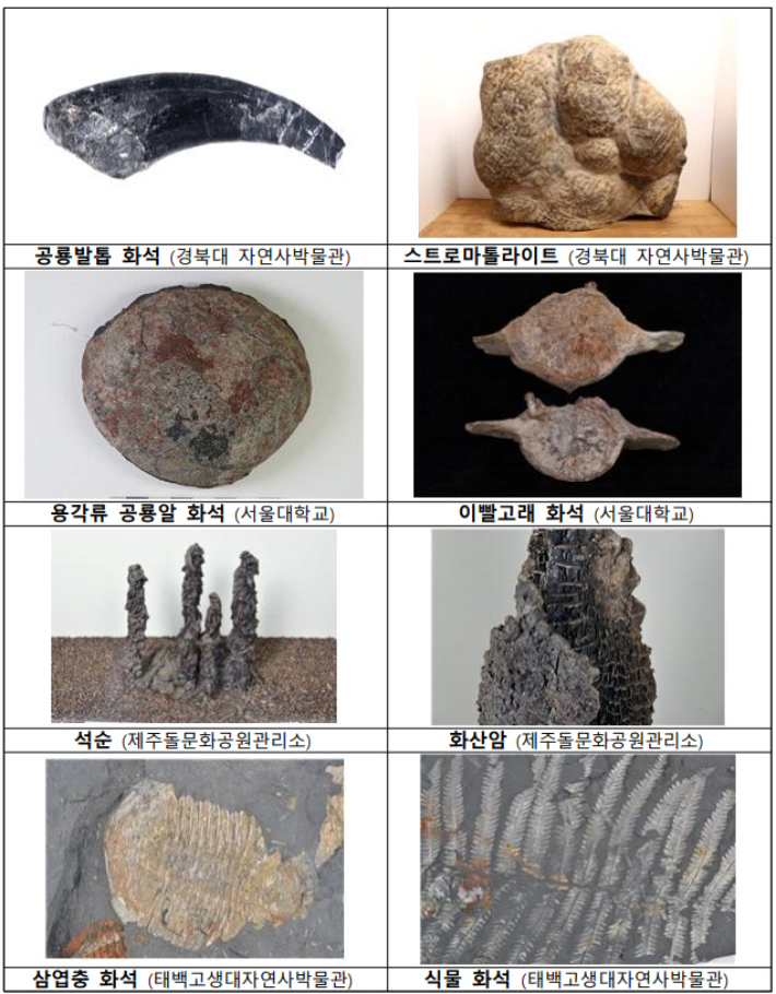 공룡발톱 이미지