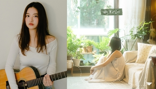 예빛 이미지
