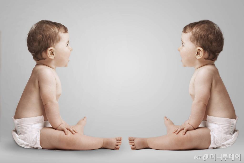 쌍둥이 이미지