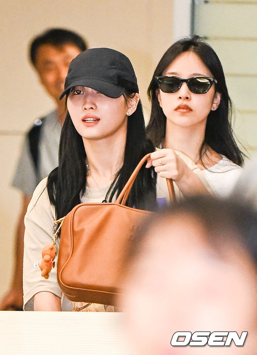 모모투어 이미지