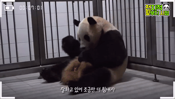 [유튜브 채널 ‘말하는 동물원 뿌빠TV’]