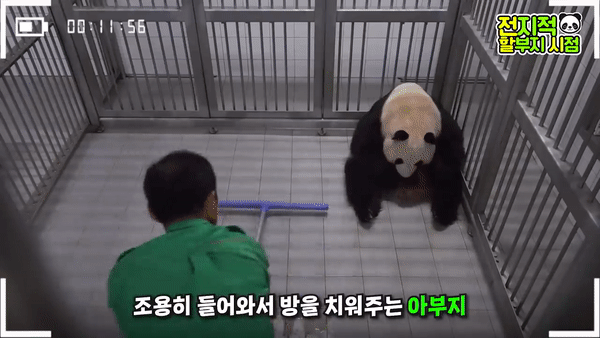 [유튜브 채널 ‘말하는 동물원 뿌빠TV’]