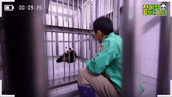 [유튜브 채널 ‘말하는 동물원 뿌빠TV’]