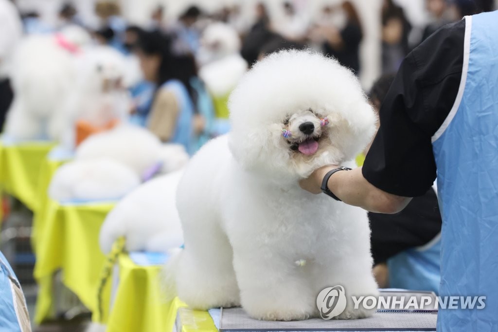 예뻐지는중 이미지