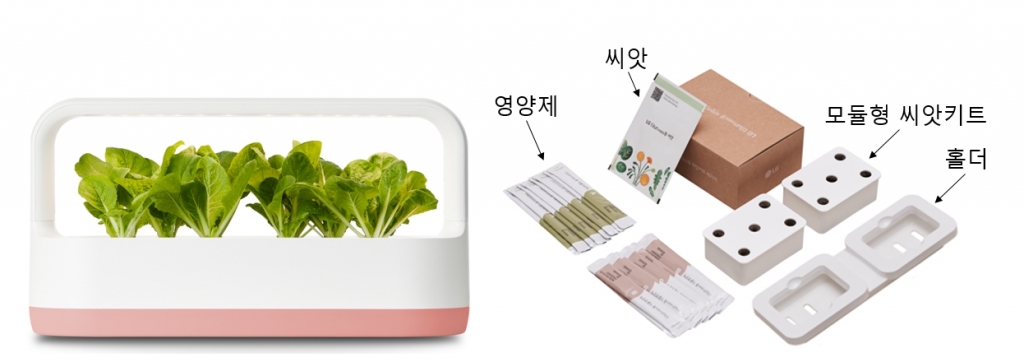 홀씨앗 이미지