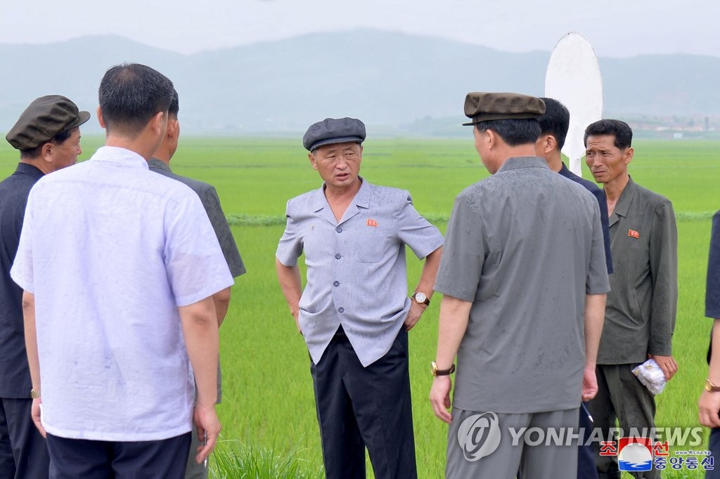 송*군 이미지