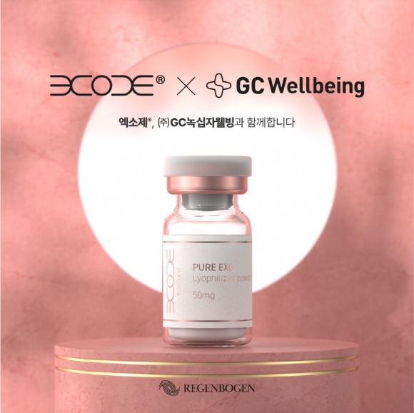 레겐보겐 이미지
