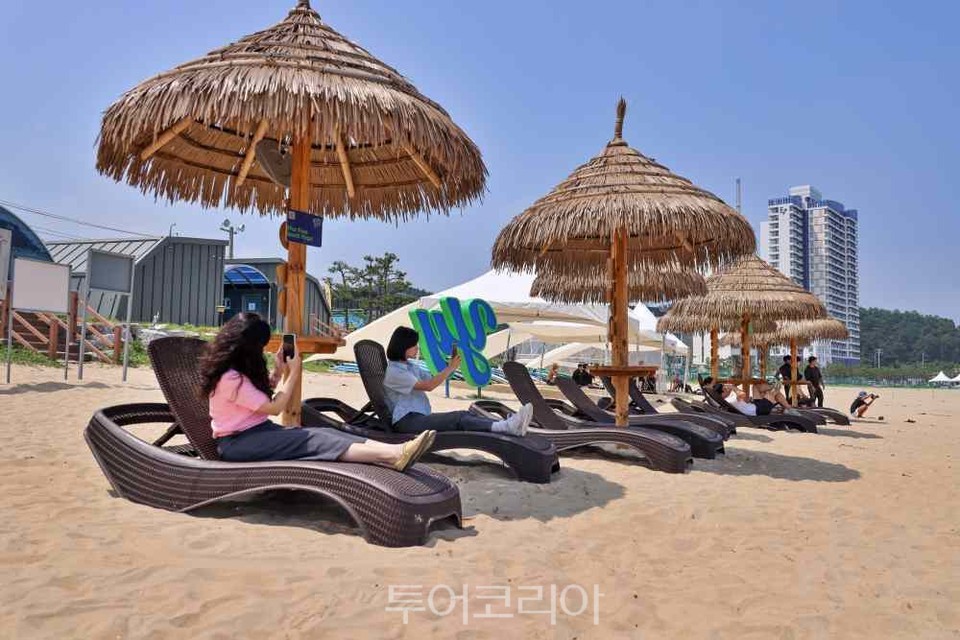 양양플랫폼 이미지