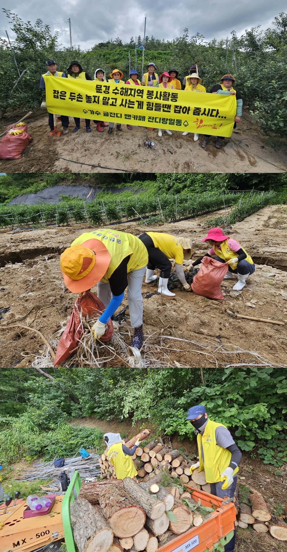 금잔디 이미지