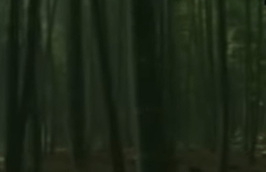 '잠시 꺼두셔도 좋습니다' 출연 청안스님 입적…향년 87세