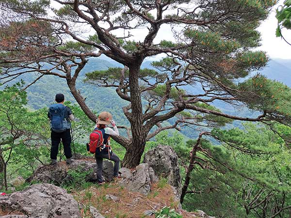 연석산&숲 이미지