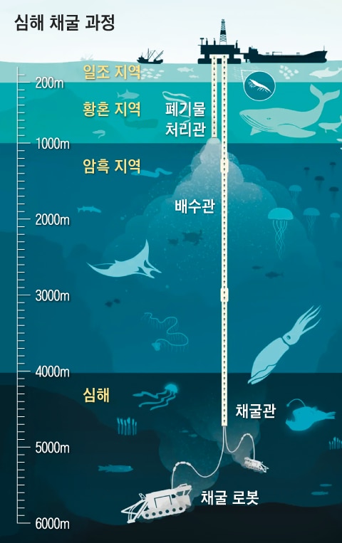 수심 이미지