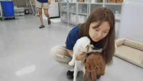 한재웅 수의사가 입양준비를 마친 푸들 모띠와 몰티즈 벼리를 진료하는 모습. 유튜브 재끼찬 촬영팀 제공