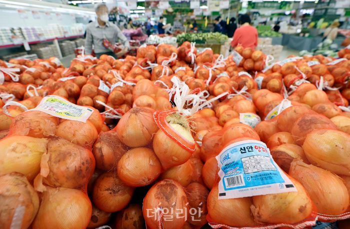 서울원예농업협동조합 이미지