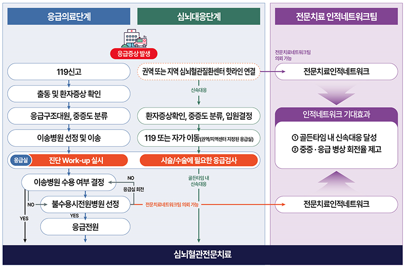 네트워크 이미지