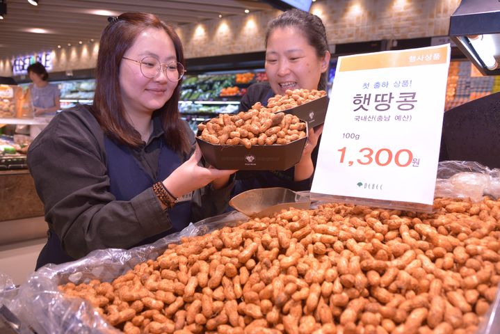 엘린스샌드위치 이미지