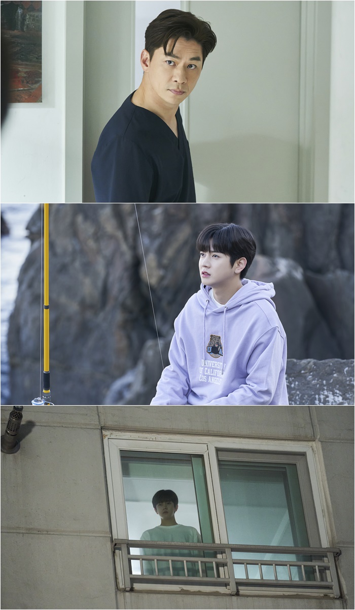 페티시온 이미지