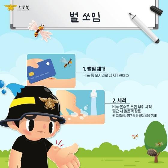 하이소 이미지