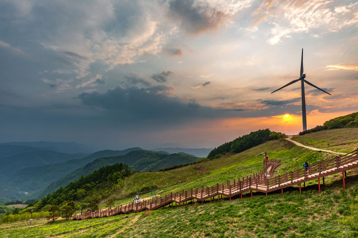 평창산채밥상 이미지